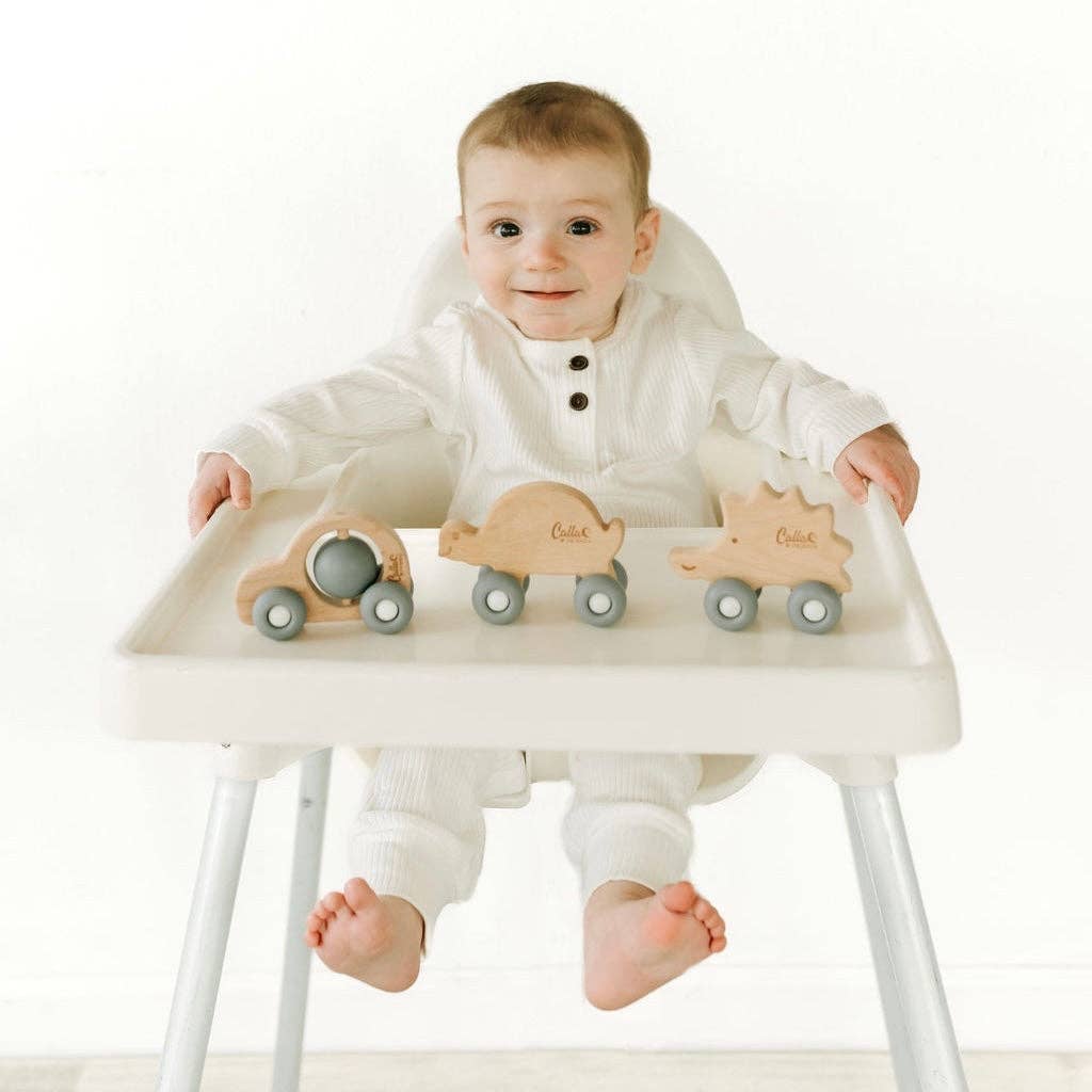 Car Silicone & Beechwood Teether Toy: Petal Pink