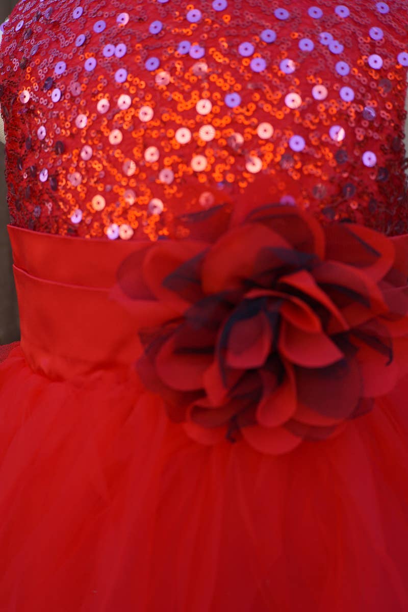 Baby Little Girls Christmas Sequin Tulle Pageant Dress Red