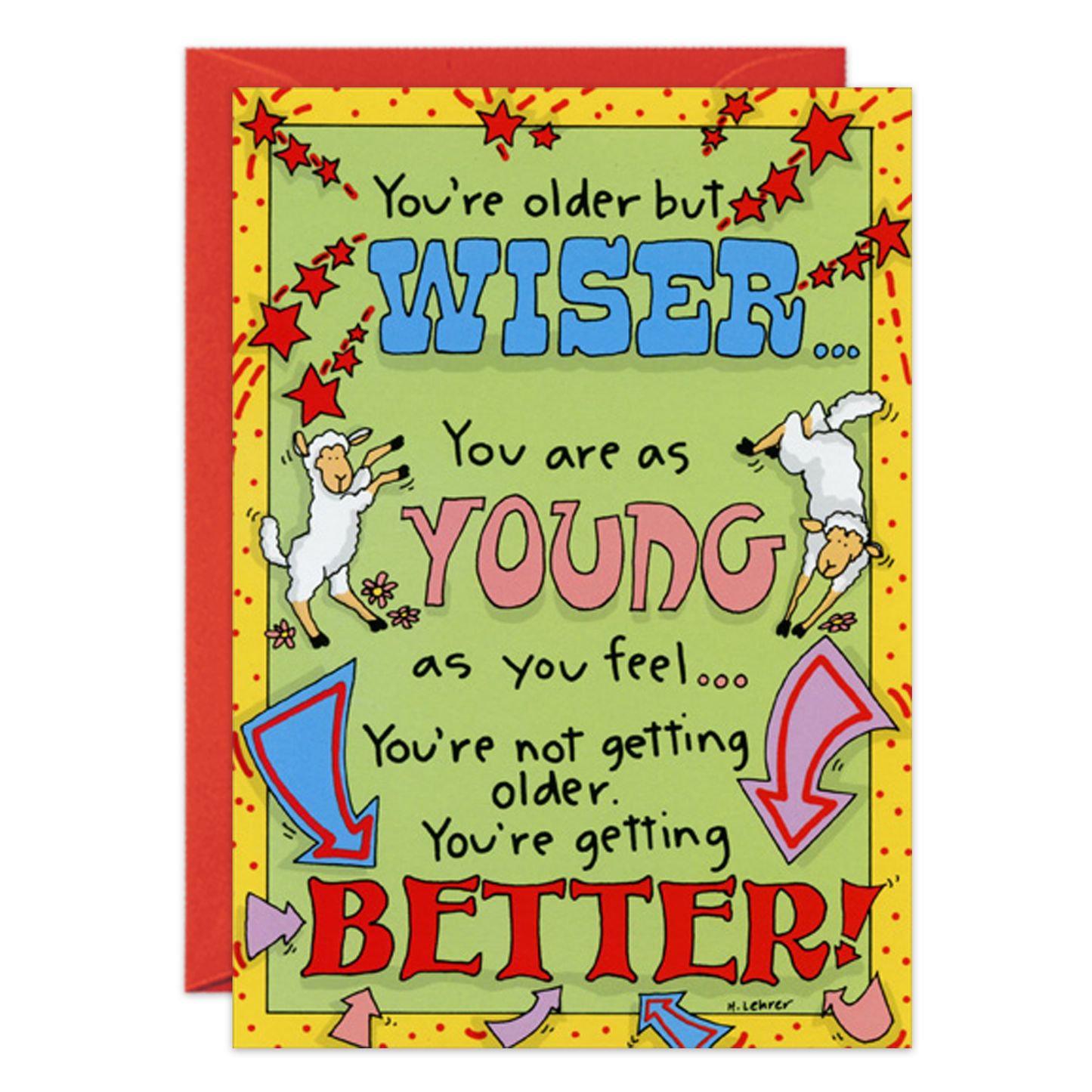 Older But Wiser Birthday Card