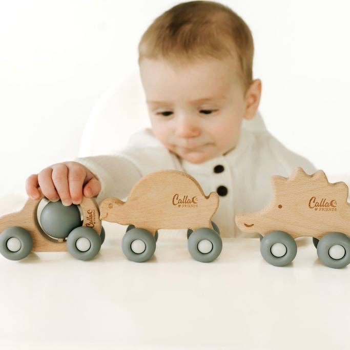 Car Silicone & Beechwood Teether Toy: Petal Pink