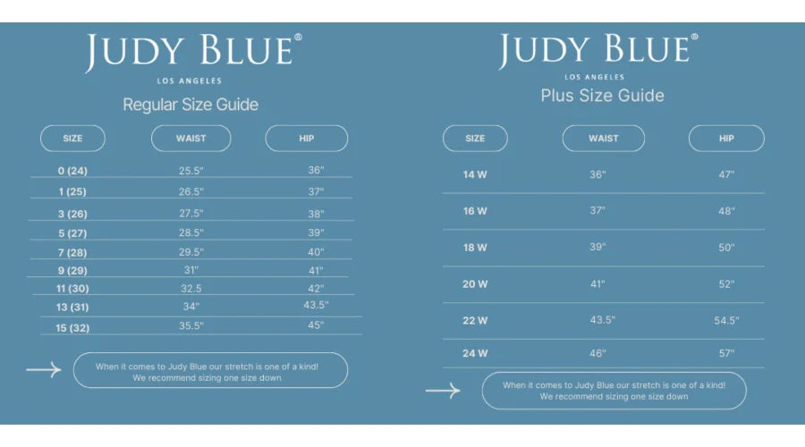Judy Blue Skinny Jeans